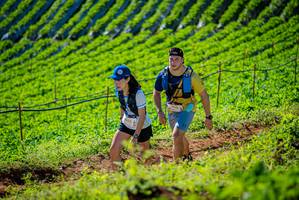 BIB: 
                            <button type="button" onclick="openModal(19161490)" class="btn btn-primary btn-sm float-right btn-popup" data-toggle="modal" data-target=".modal-high-quality">
                        <i class="fas fa-shopping-cart"></i> Add to Cart
                    </button>
                                            <button type="button" onclick="isThisMe(19161490, true)" class="btn btn-success btn-sm float-right btn-popup btn-isme hidden" data-toggle="tooltip" data-placement="bottom" title="นี่คือรูปของคุณใช่ไหม คลิกที่นี่เพื่อเอาเข้าอัลบั้ม">
                        <i class="fas fa-plus"></i> Add to album
                    </button>
                    <button type="button" onclick="isThisMe(19161490, false)" class="btn btn-warning btn-sm float-right btn-popup btn-isnotme hidden">
                        <i class="fas fa-ban"></i> Remove from album
                    </button>